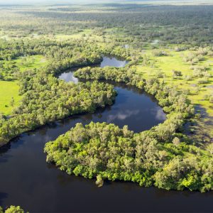 Aerial view of winding river and wetlands in Kakadu National Park