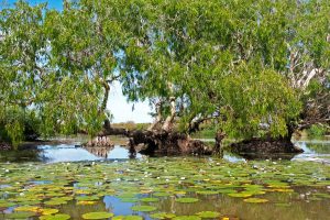2 Day Kakadu Small Group Tour