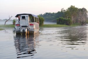 Yellow Water Cruise
